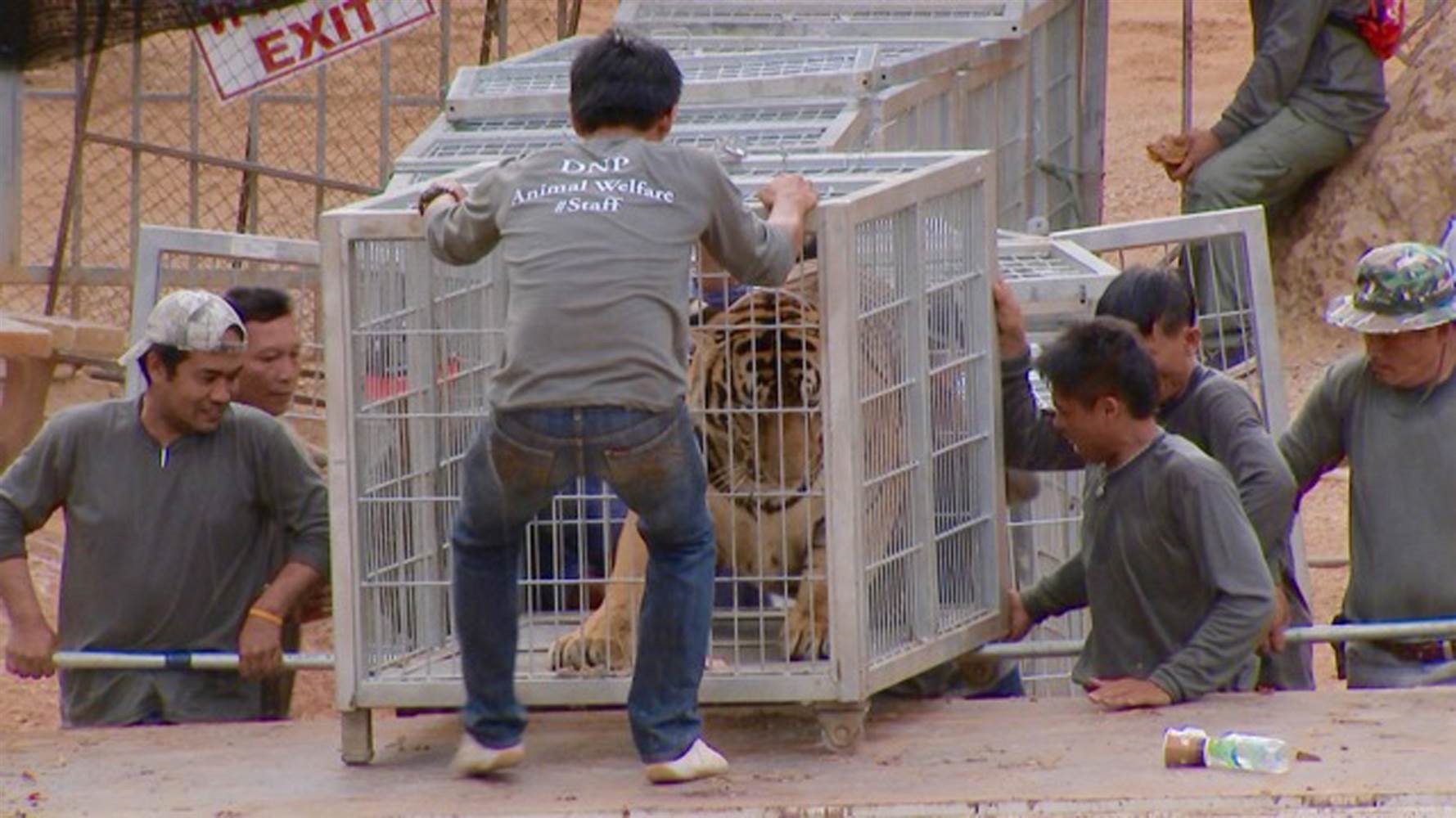 ECOticias explica 6 razones para no visitar el Templo de los Tigres y otros lugares similares