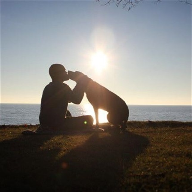 Un perro con cáncer y un viaje de ensueño