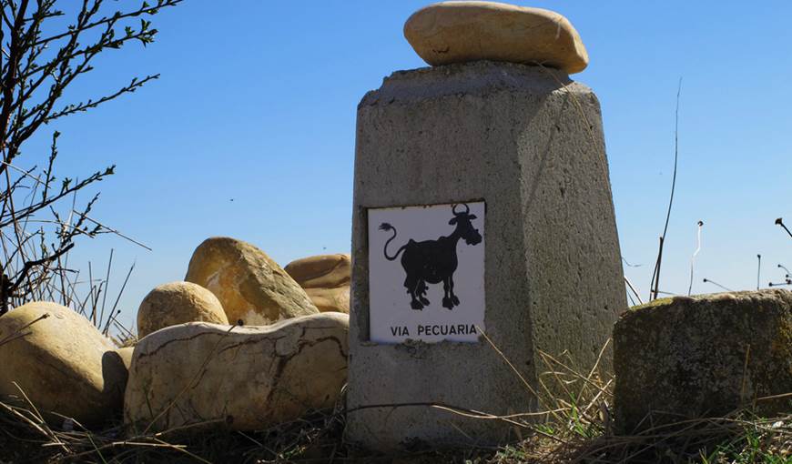 Las vías pecuarias andaluzas en el ‘olvido’