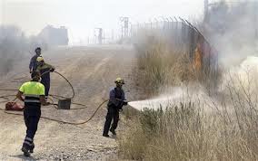 Plan de Recuperación por los incendios forestales en la Comunidad de Madrid