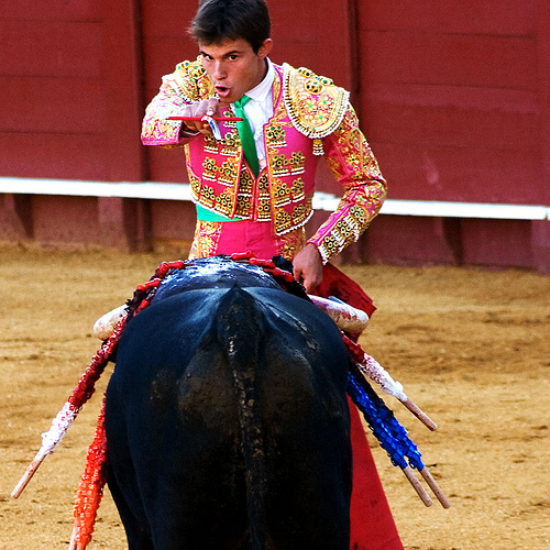Universidad de Valencia firma declaración contra las corridas de toros porque "experimentan el dolor como los humanos"