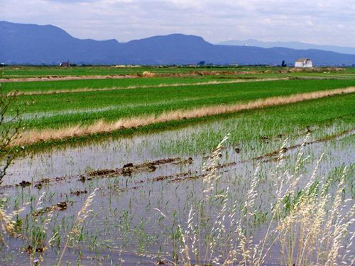 Gobierno vasco destina cuatro millones de euros a casi 70 proyectos medioambientales