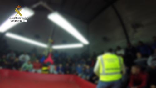 Peleas ilegales de gallos en Viator (Almería)