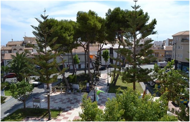 Arrancan en la Región de Murcia las actuaciones en las fincas municipales afectadas por la plaga del escarabajo del pino