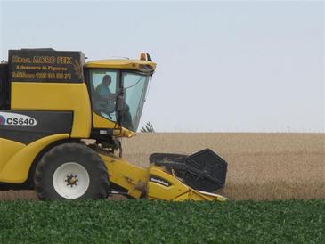 Generar energía con restos de biomasa vegetal