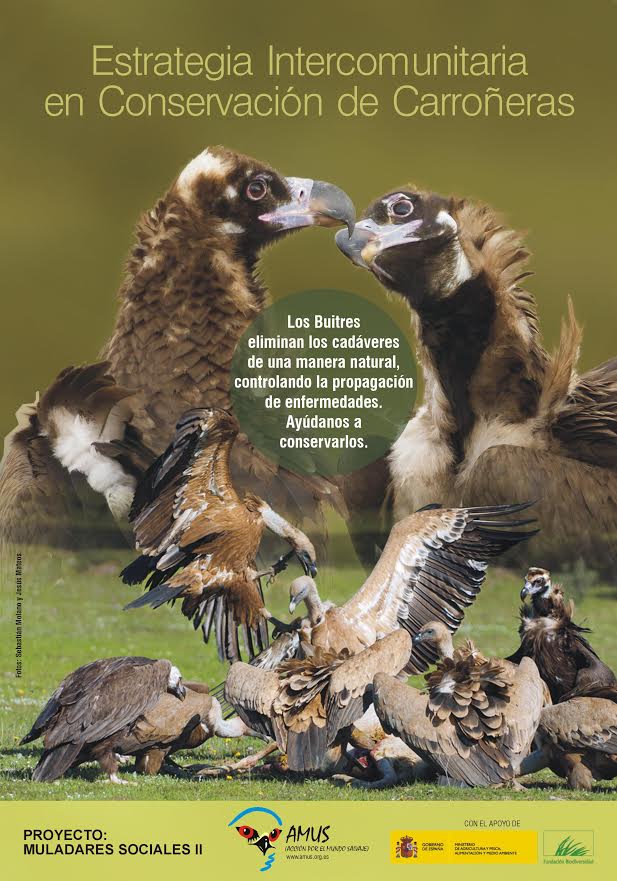 Muladares sociales II