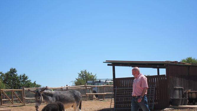 Los logroñeses "bautizan" a la nueva burrita de la Grajera con el nombre de Esperanza