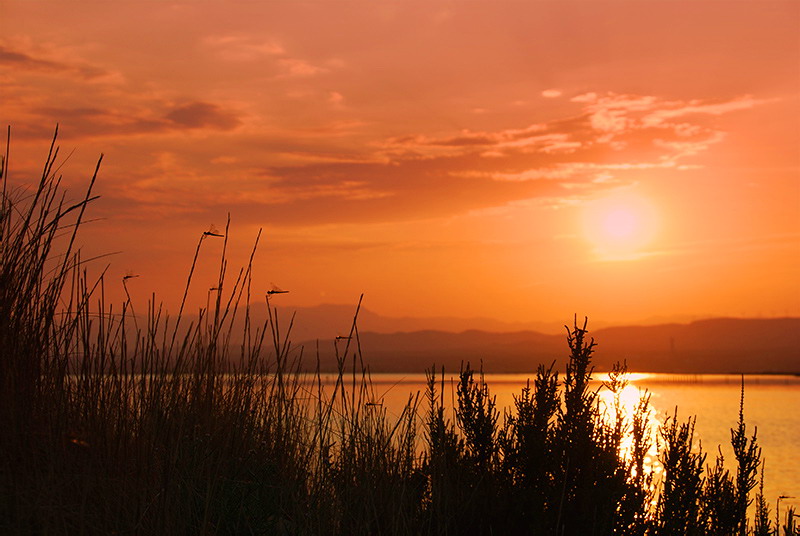 Beca sobre variables climáticas y ambientales en el delta del Ebro
