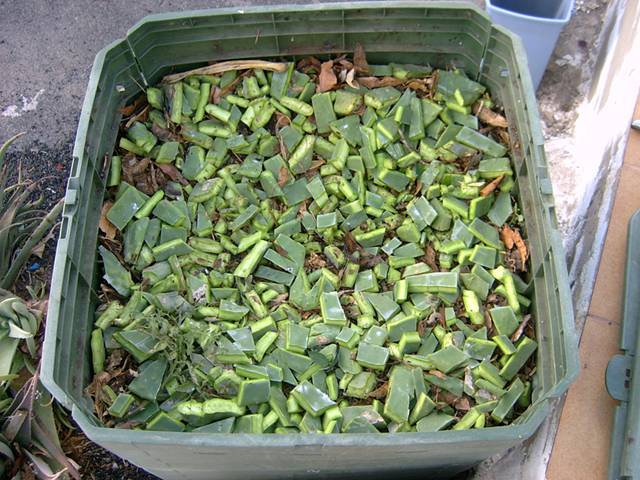 Fomento del compostaje doméstico en el Valle del Alagón (Extremadura)