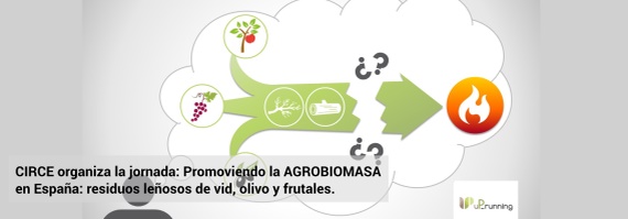 Promoviendo la AGROBIOMASA en España: residuos leñosos de vid