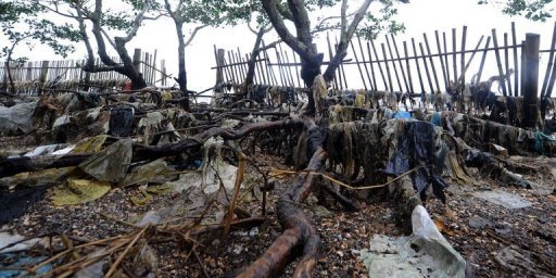 Brasil. Bahía de Guanabara retrato de la polución