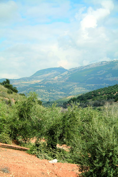 Junta de Andalucía destina más de 3 millones al desarrollo sostenibles de los espacios naturales de Granada