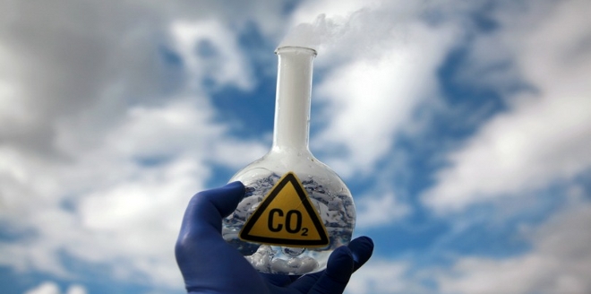 Más de 50 países quieren incentivar captura de carbono