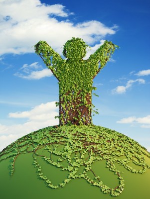 Inscríbete en el Doctorado en Sostenibilidad de UEMA