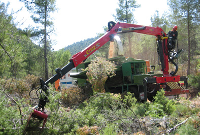 Limpieza de restos forestales en 32 montes de La Rioja Baja