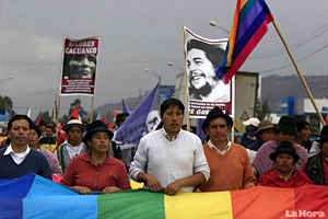 Inundemos Quito de Vida: solidaridad desde cualquier lugar del mundo