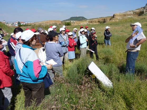 Valladolid y el Día Mundial del Medio Ambiente