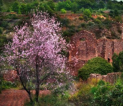Medio Ambiente y el Ayuntamiento difunden los valores del Parc Natural del Desert de les Palmes