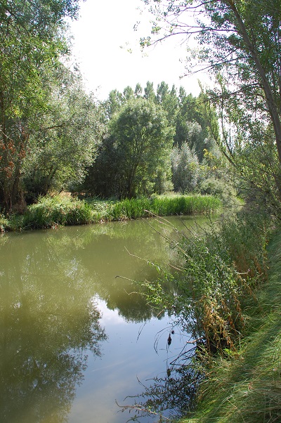 Aprobado el Plan Hidrológico de la parte española de la Demarcación Hidrográfica del Tajo.