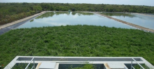 Huesca ‘apuesta’ por depuradoras con sistemas ecológicos