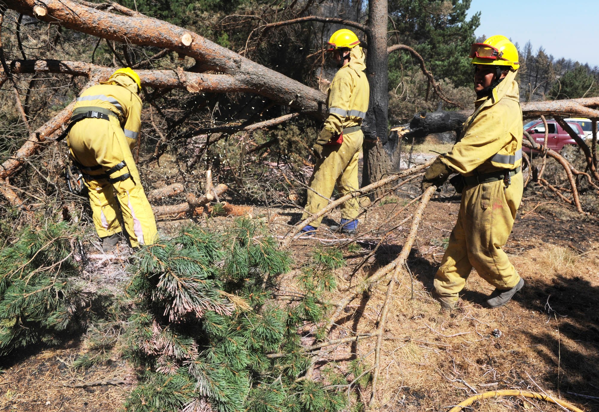 El Departamento de Medio Ambiente