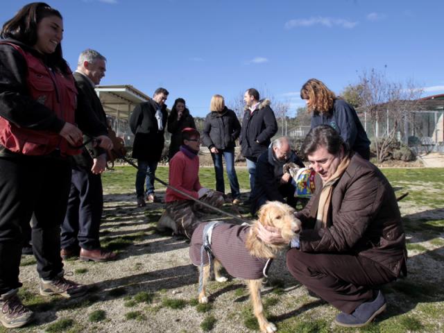 Más de 5.000 animales
