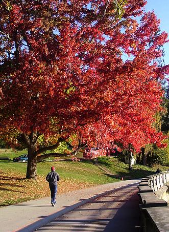 Cinco minutos para vivir mejor