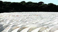 STOP operación Canteras