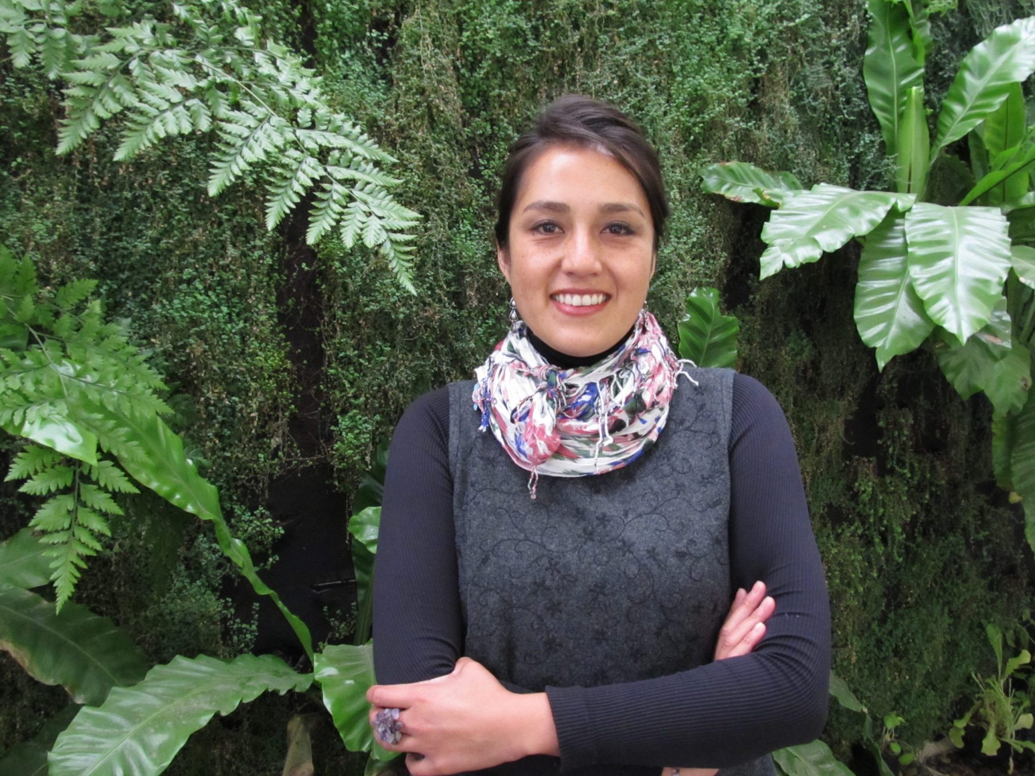 Impuestos verdes: un paso más para la sustentabilidad