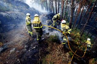 El año 2011 se cierra con casi 85.000 hectáreas arrasadas por el fuego