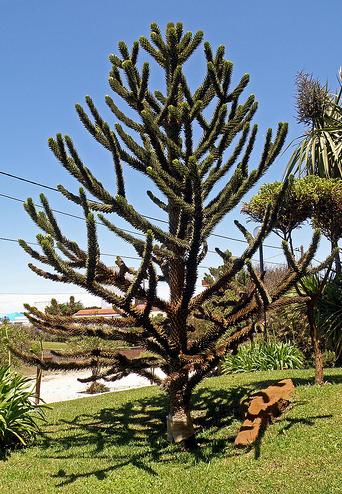La Fundación Biodiversidad apoya una jornada didáctica de reforestación con árboles autóctonos