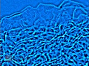 Supercapacitors reach high storage performance with activated graphene