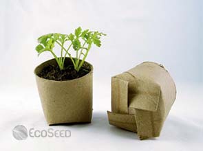 Three simple ways to make your site or blog eco-friendly