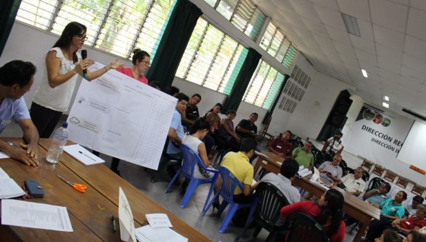 Perú. San Martín: Productores capacitados para enfrentar cambio climático