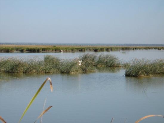 Sobreexplotación del acuífero de Doñana