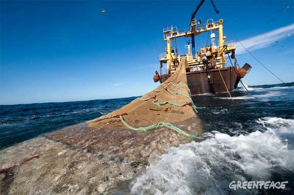 Hoy los fondos marinos están de suerte