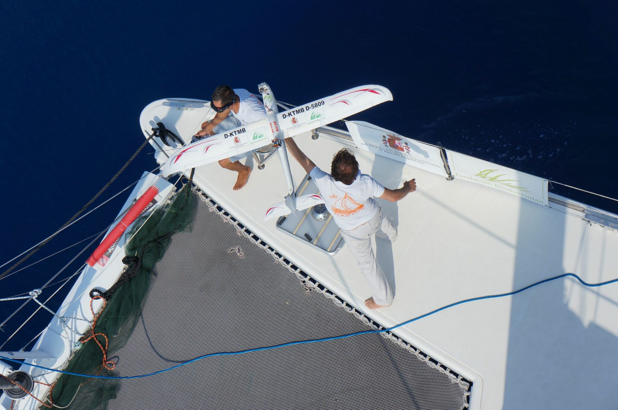 Estudiando a delfines y ballenas desde el aire: una nueva aproximación a la investigación de los mamíferos marinos