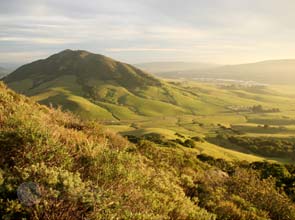 New 250-MW solar ranch to rise in sunny California Valley