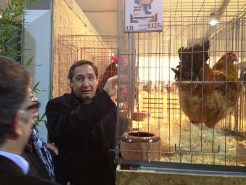 Cataluña pide apoyo a las plantas de cogeneración y tratamiento de purines