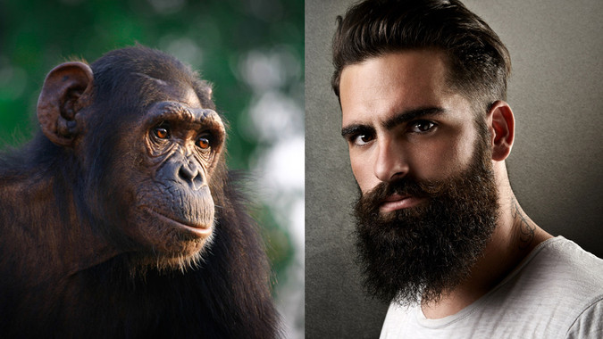 En qué se diferencia la cara humana y la de un chimpancé