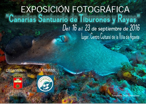 Exposición para promover un santuario para los tiburones y rayas de Canarias