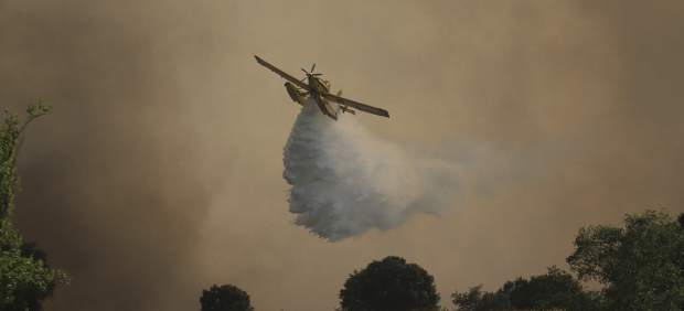 La Junta de CyL rebaja al nivel 1 el fuego de Pino del Oro (Zamora) que ha afectado a más de 2.500 hectáreas