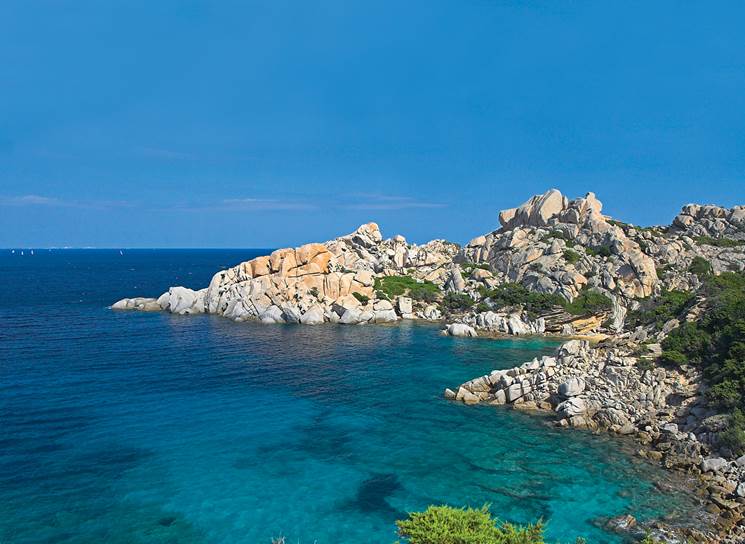 Un estudio del CSIC confirma la elevada vulnerabilidad del Mediterráneo a la acidificación