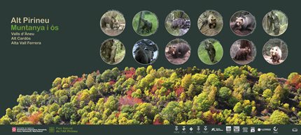 Presentación del seguimiento del oso pardo en el Parque Natural del Alt Pirineu