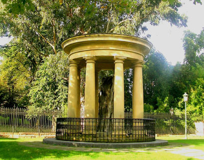 El roble de Gernika al borde de la muerte