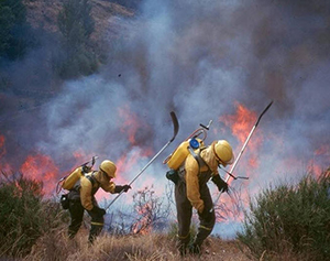Gestión de los incendios forestales en Castilla-La Mancha ‘peor imposible’