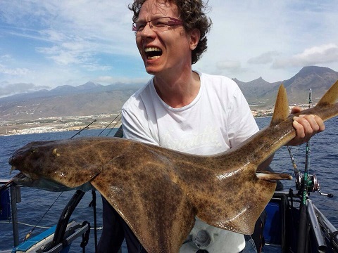 ATIRACAN denuncia la Guía de Buenas Prácticas de Angel Shark Project