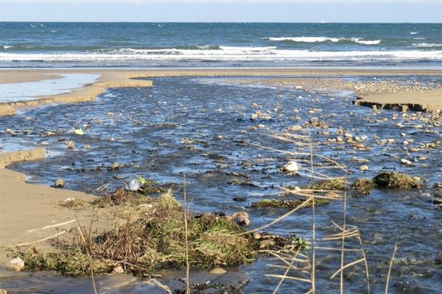 Las reiteradas agresiones al Parque Natural de Oyambre