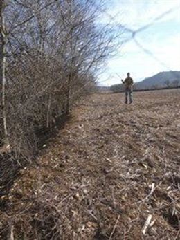 Sorprenden a dos ‘delincuentes’ usando una red japonesa para cazar pájaros en Tremp