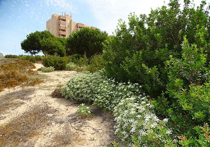 ANSE: Monte Blanco no se toca